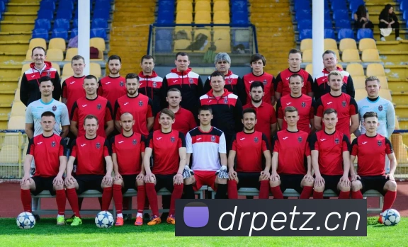 爱游戏在线登录入口APP 高清赛事图