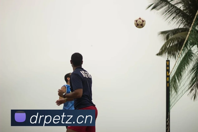 数据防护可视化